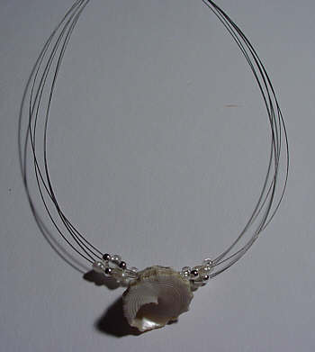 Muschel-Edelstahl-Kette