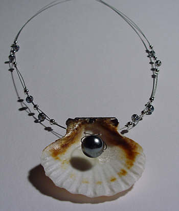 Muschel-Edelstahl-Kette