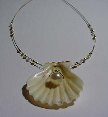 Muschel-Edelstahl-Kette