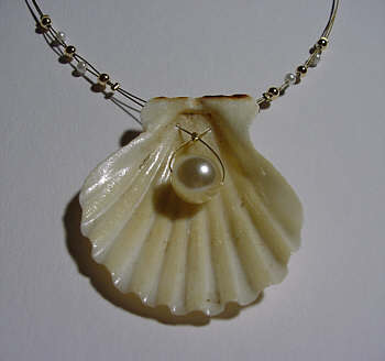 Muschel-Edelstahl-Kette