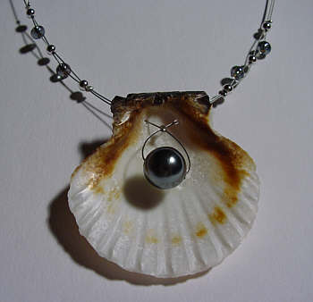 Muschel-Edelstahl-Kette