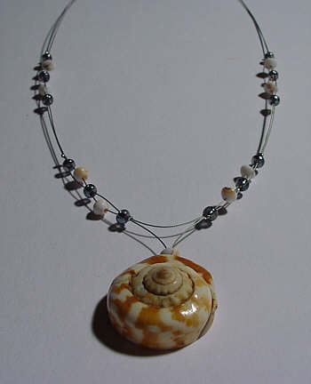 Muschel-Edelstahl-Schmuck