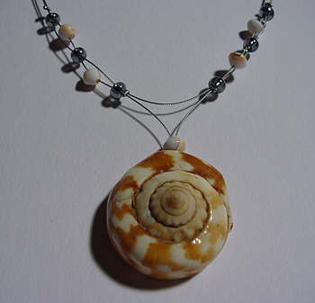 Muschel Schmuck