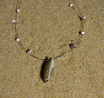 Rainbowstone Muschelschmuck